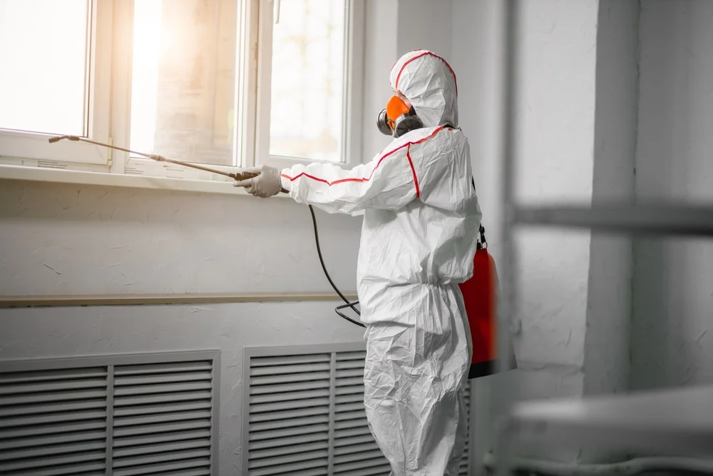 Professional mold remediation services in Proctor, AR